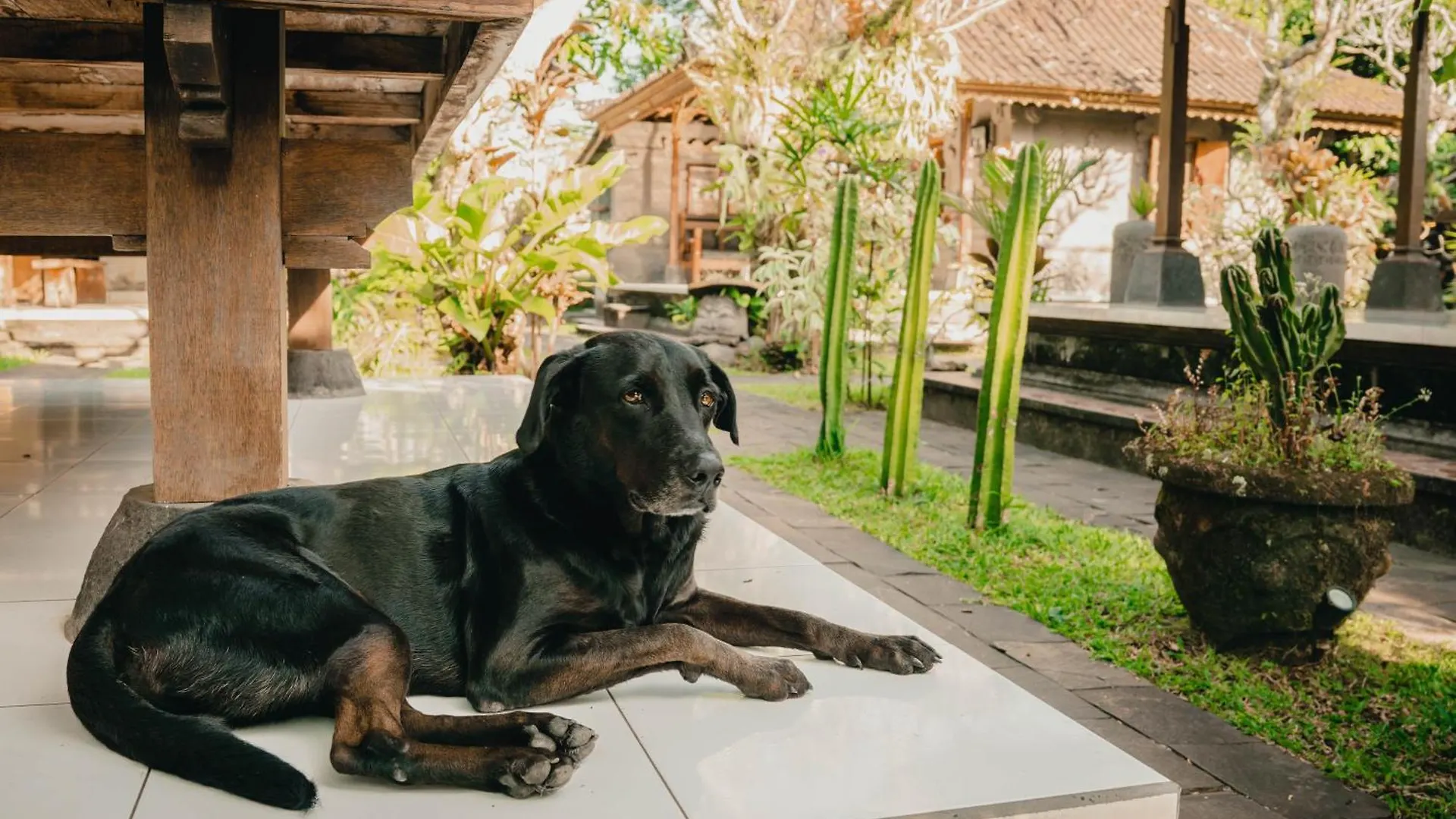 Bramasa Ubud Guest House