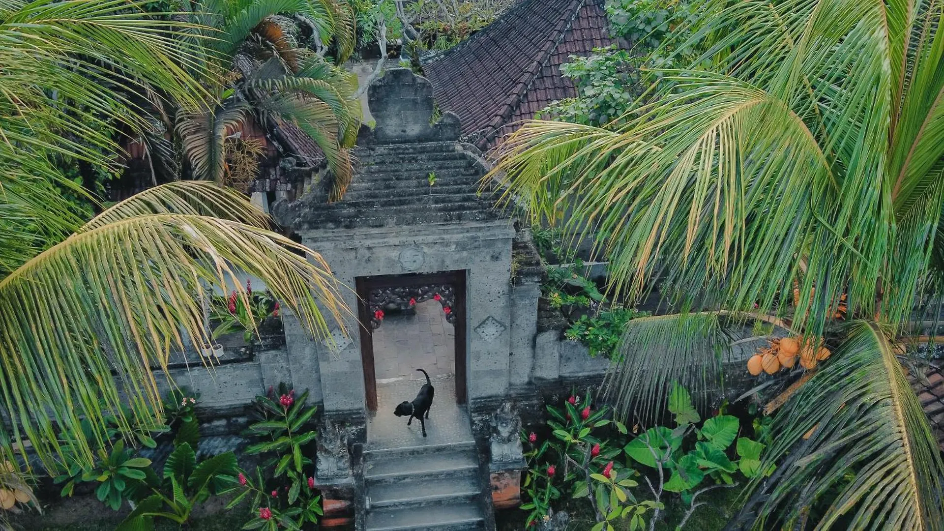 Bramasa Ubud Guest House