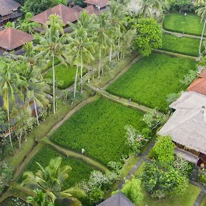 Resort Ananda